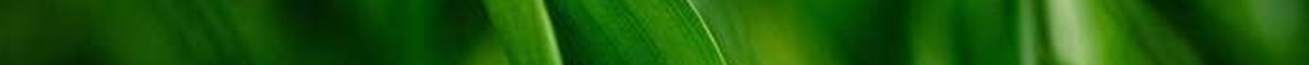 green4