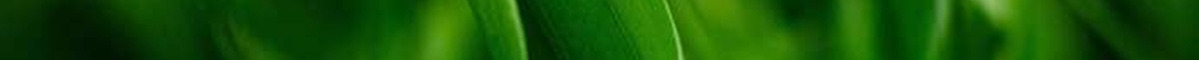 green5