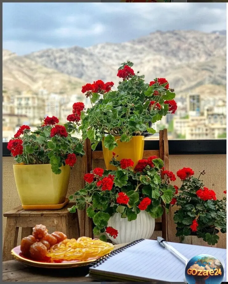 خانه مهراوه شریفی نیا