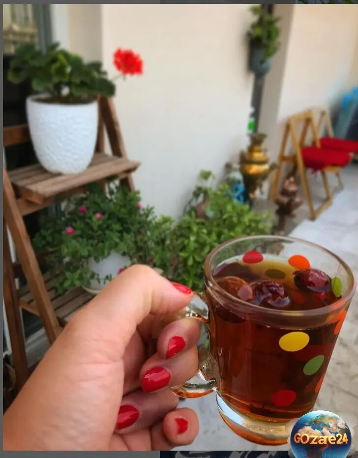 خانه مهراوه شریفی نیا