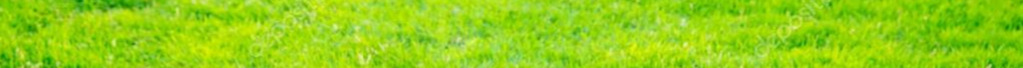 green grass2