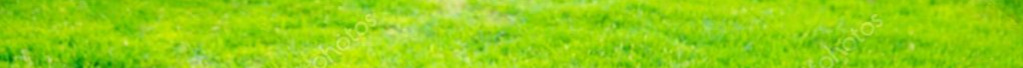 green grass1
