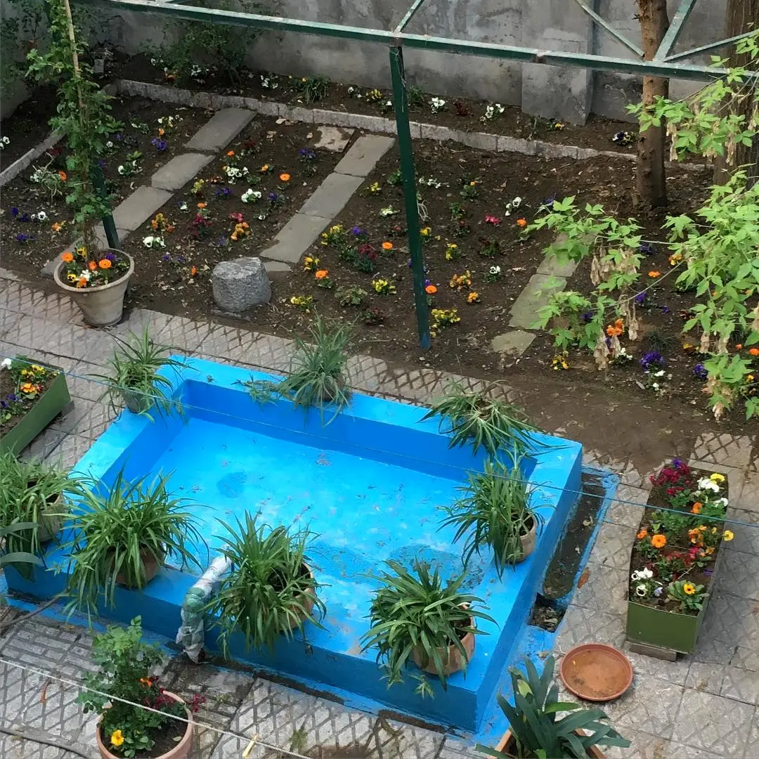 مائده طهماسبی و فرهاد آئیش