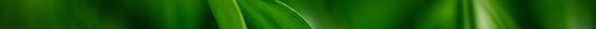 green3