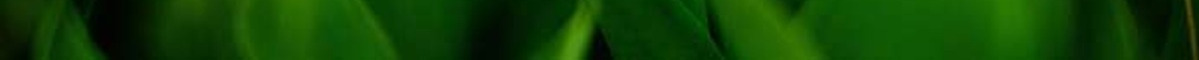 green10