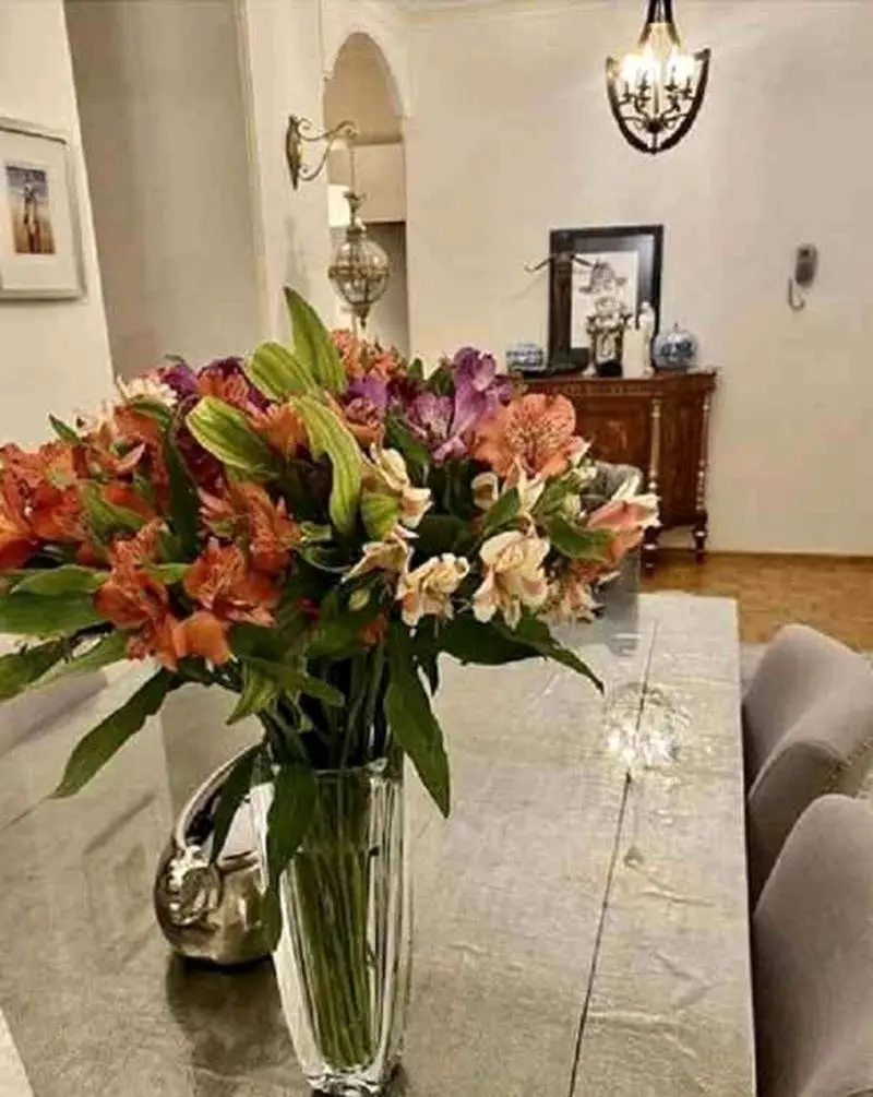 منزل نرگس محمدی