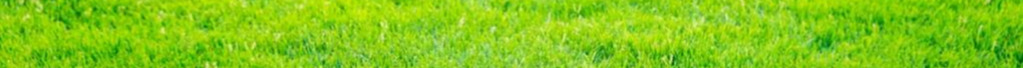 green grass3