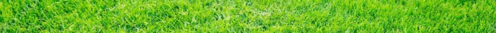 green grass5