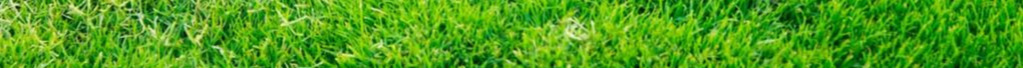green grass9