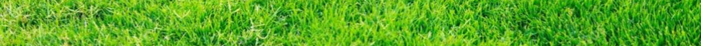 green grass7