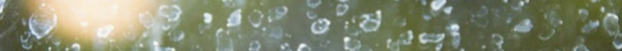 9 اسفند4