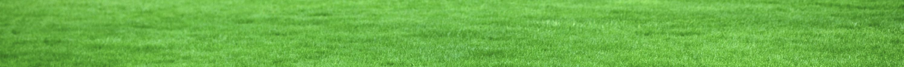 green5