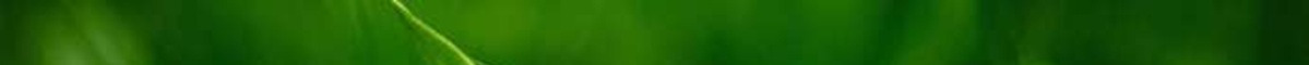 green1