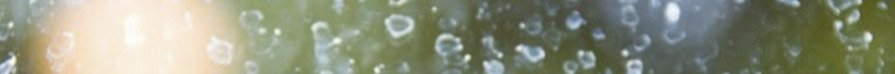 9 اسفند3