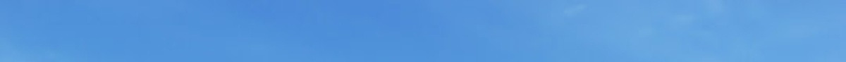 sky1