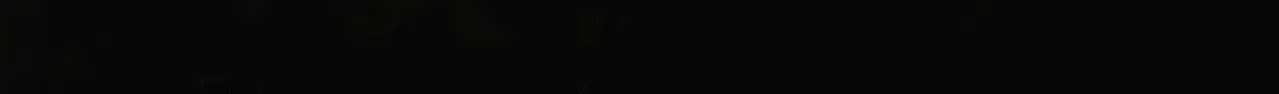 night s;y8