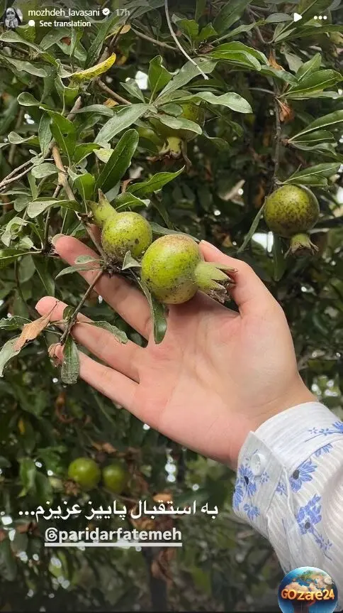 مژده لواسانی