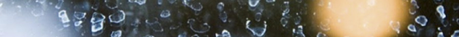 9 اسفند7