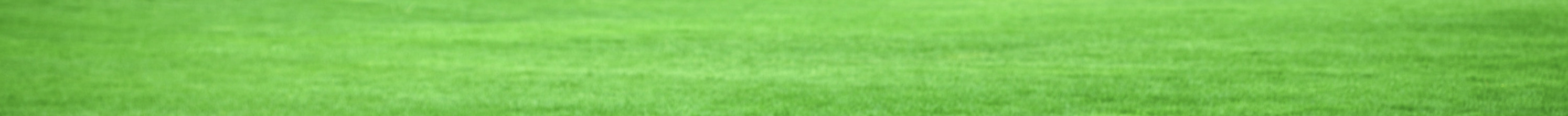 green4