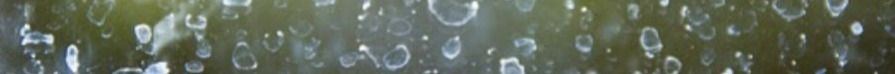 9 اسفند5