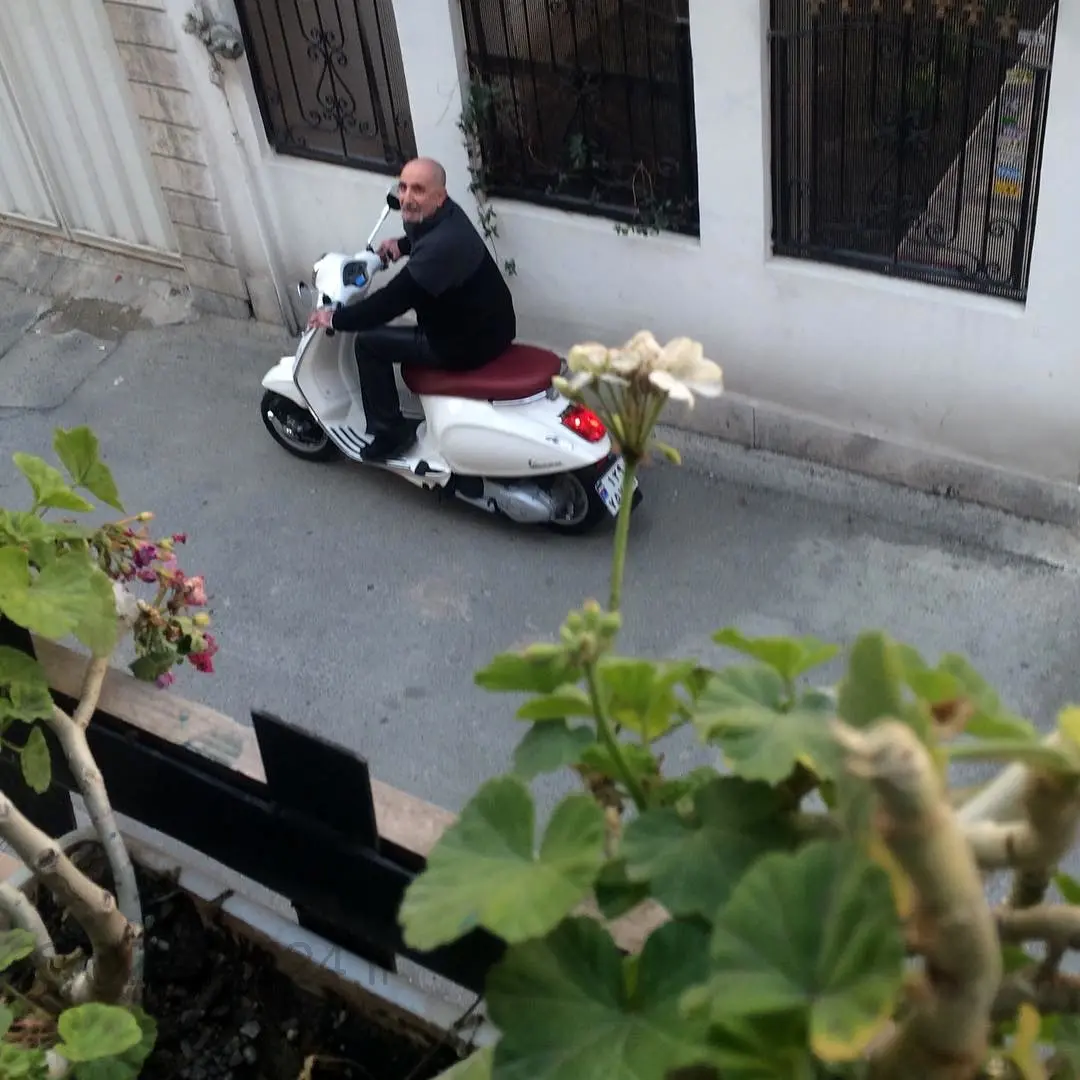 مائده طهماسبی و فرهاد آئیش