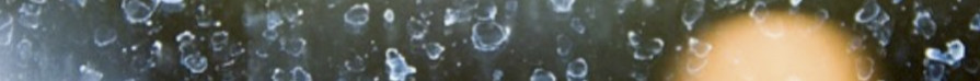 9 اسفند6