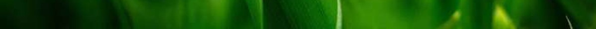 green6