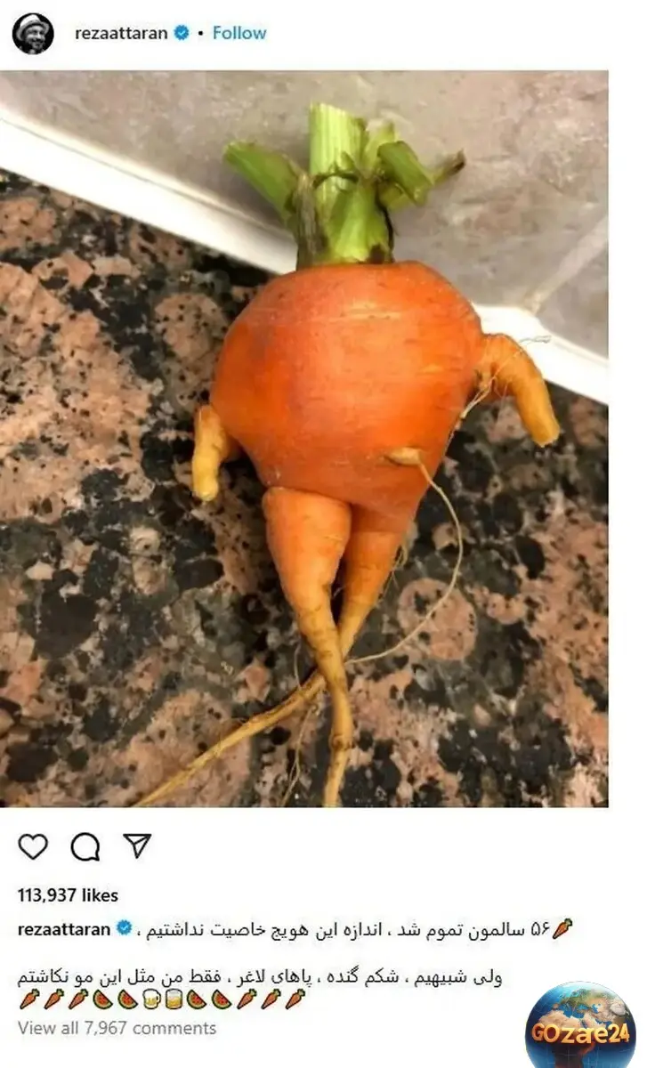  هویج