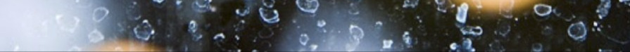 9 اسفند8