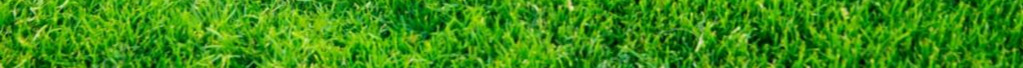 green grass10