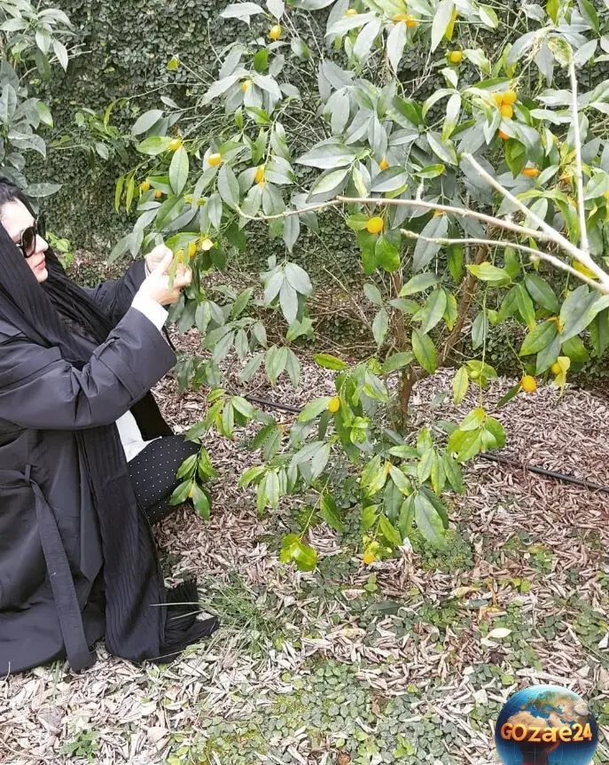 ساره بیات