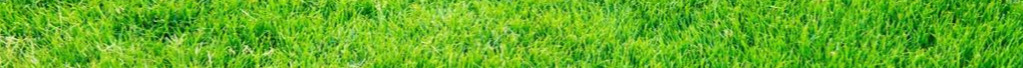 green grass6