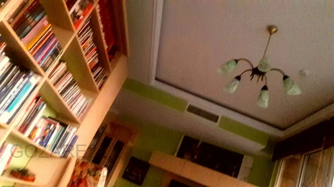 مائده طهماسبی و فرهاد آئیش