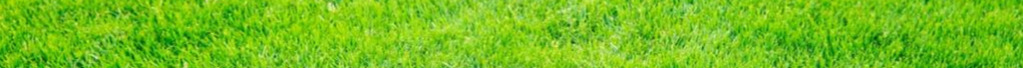 green grass4