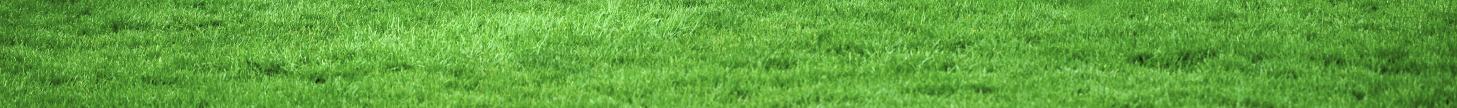 green7