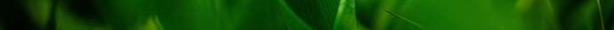green8