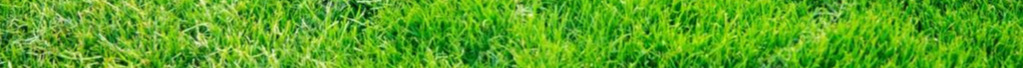 green grass8