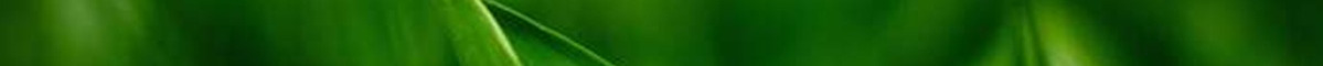 green2