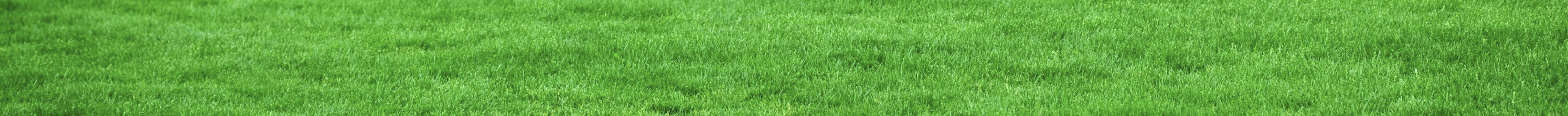 green6