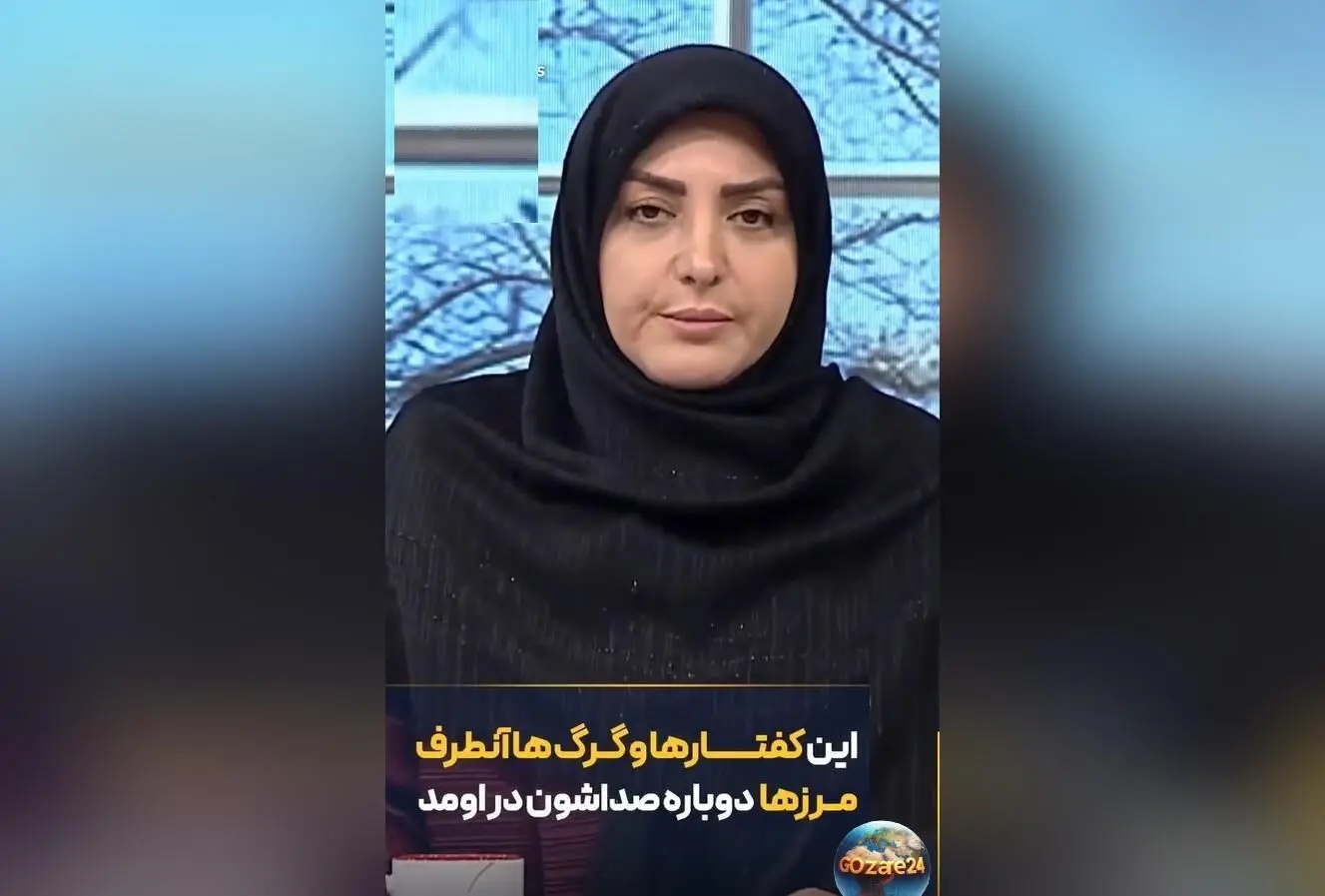 المیرا شریفی مقدم: دخالت‌های خارجی در امور داخلی کشور بی‌ربط است و مردم خودشان راه حل را پیدا می‌کنند