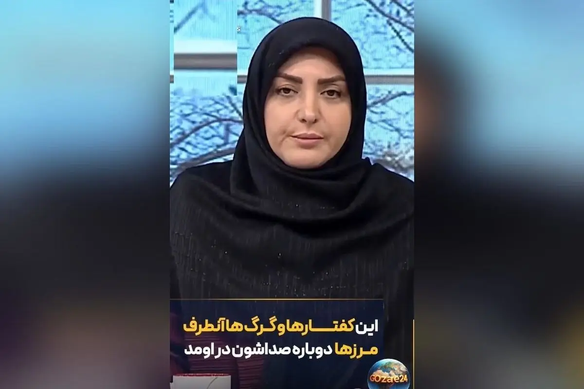 المیرا شریفی مقدم: دخالت‌های خارجی در امور داخلی کشور بی‌ربط است و مردم خودشان راه حل را پیدا می‌کنند