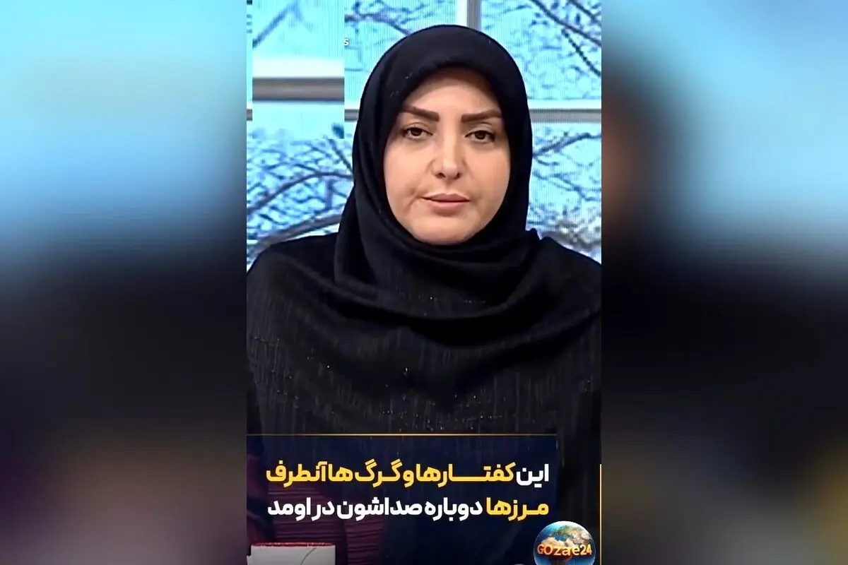 المیرا شریفی مقدم: دخالت‌های خارجی در امور داخلی کشور بی‌ربط است و مردم خودشان راه حل را پیدا می‌کنند