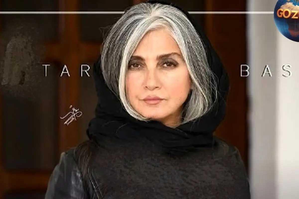 خانم بازیگرانی با موهای خاکستری و نقره‌ای که لقب «روباه نقره‌ای» را گرفته‌اند؛ از رویا جاویدنیا تا پانته‌آ بهرامی و مردان جذاب با استایل خاص