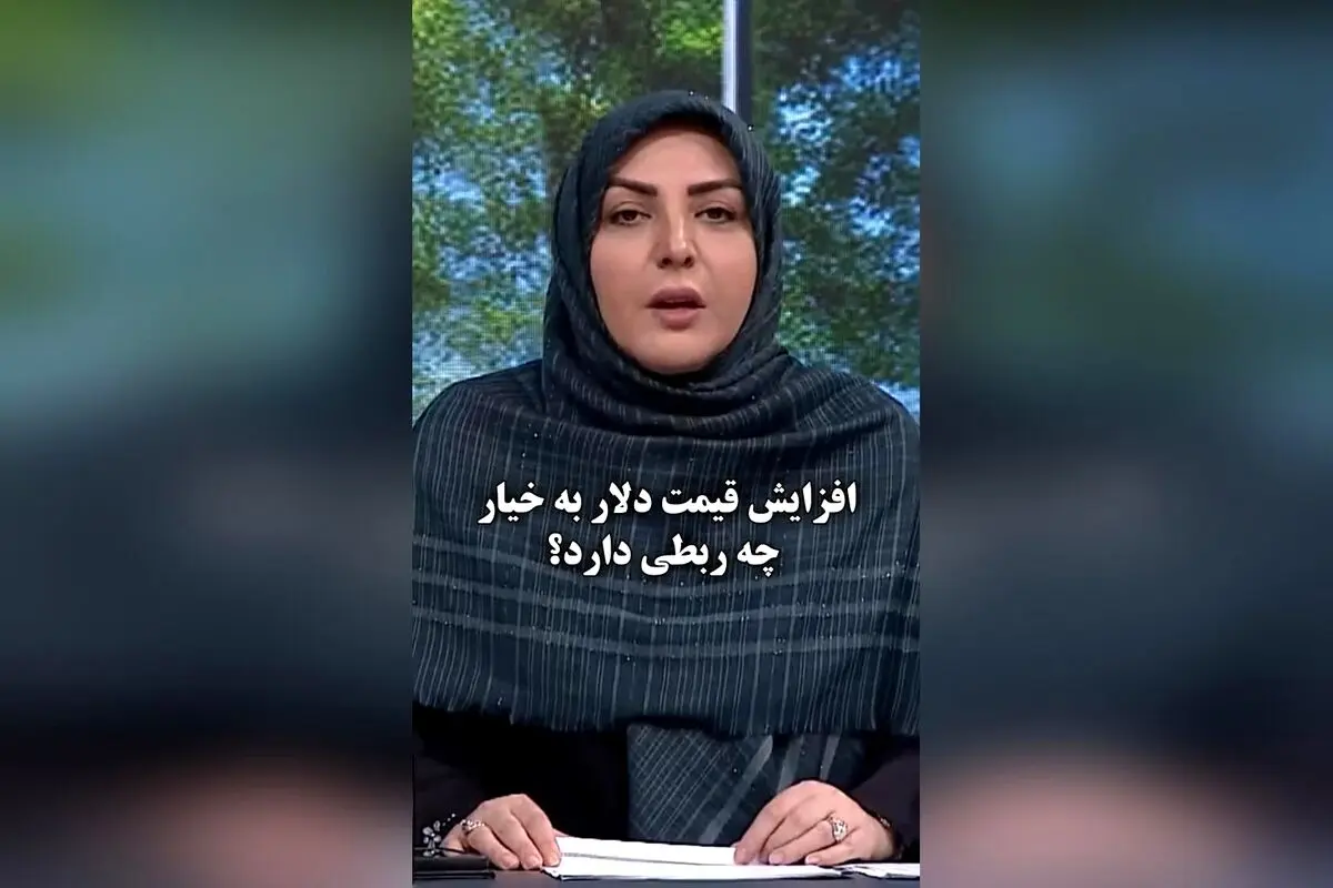انتقاد المیرا شریفی‌مقدم از گرانی‌ها: چرا خیار کیلویی ۱۰۰ هزار تومان است؟!