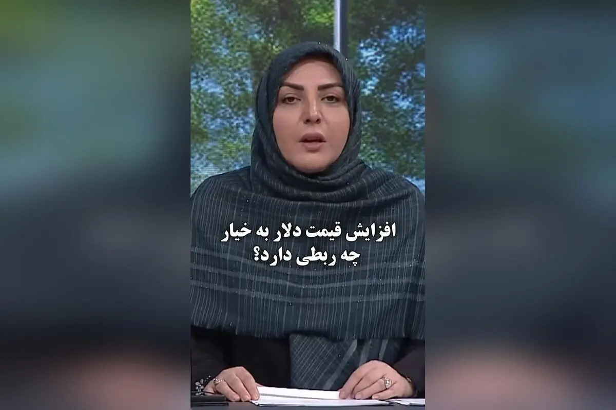 انتقاد المیرا شریفی‌مقدم از گرانی‌ها: چرا خیار کیلویی ۱۰۰ هزار تومان است؟!