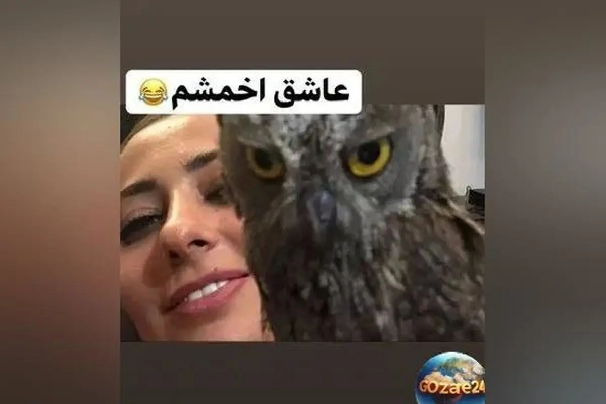 نفیسه روشن با ویدیوی عاشقانه از جغد مادر و بچه‌اش در صفحه‌اش + تصاویر و جزئیات زندگی و فعالیت‌های هنری