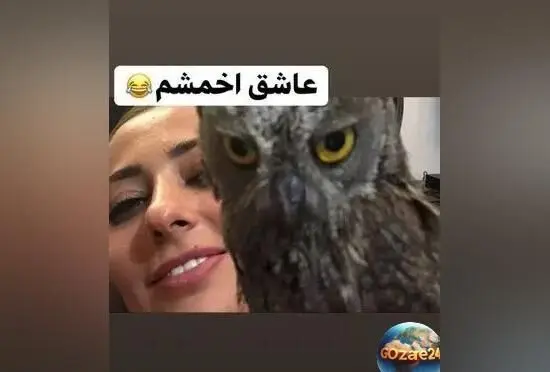 نفیسه روشن با ویدیوی عاشقانه از جغد مادر و بچه‌اش در صفحه‌اش + تصاویر و جزئیات زندگی و فعالیت‌های هنری