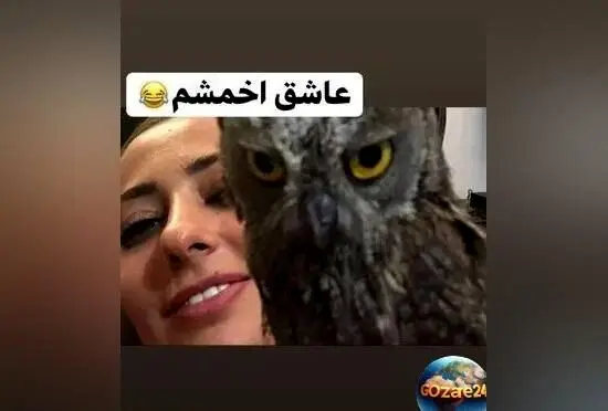 نفیسه روشن با ویدیوی عاشقانه از جغد مادر و بچه‌اش در صفحه‌اش + تصاویر و جزئیات زندگی و فعالیت‌های هنری