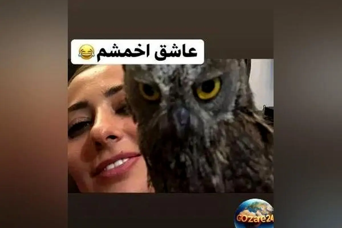 نفیسه روشن با ویدیوی عاشقانه از جغد مادر و بچه‌اش در صفحه‌اش + تصاویر و جزئیات زندگی و فعالیت‌های هنری