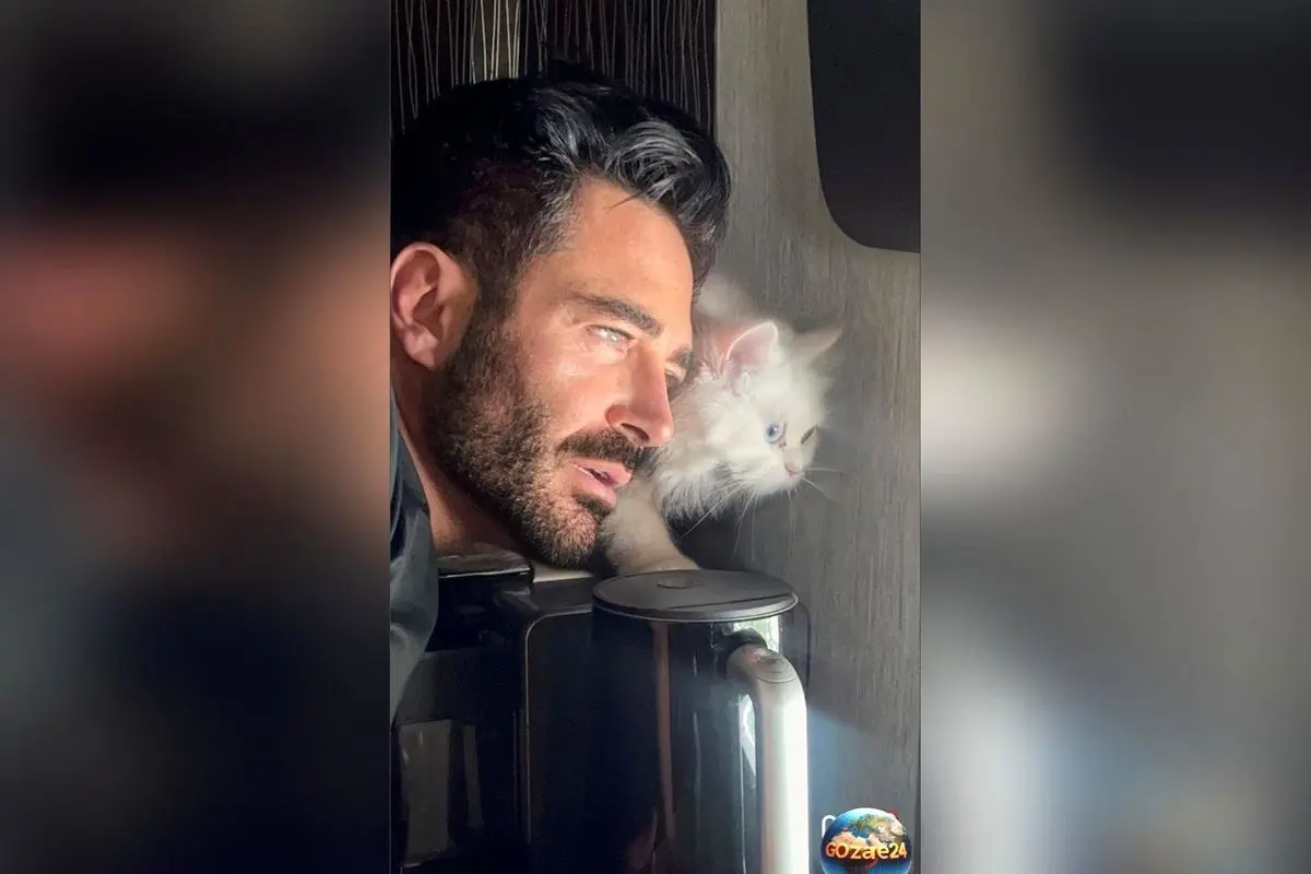 (عکس) شباهت عجیب رنگ چشم محمدرضا گلزار و گربه‌اش | ست کردن رنگ چشم سوپراستار با حیوان خانگی